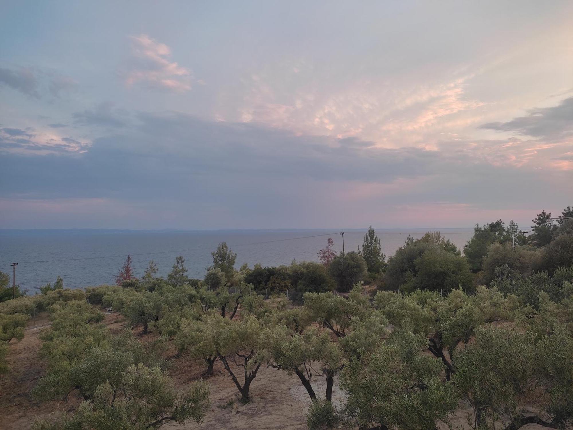 Enelia Βίλα Βατοπέδι Εξωτερικό φωτογραφία